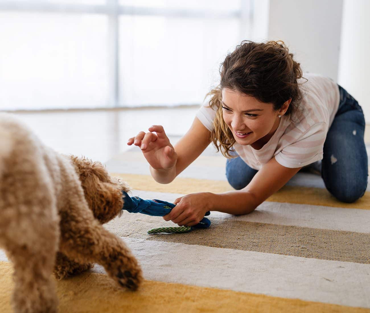 A woman kneels on a rug indoors, smiling as she plays tug-of-war with a fluffy dog using a blue rope toy.